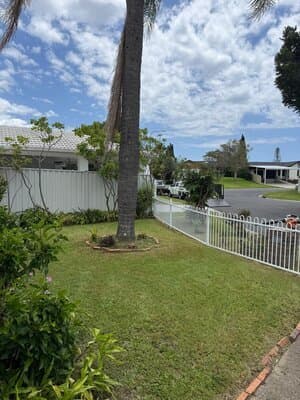Gold Coast garden ready for a Green Mowers clean-up