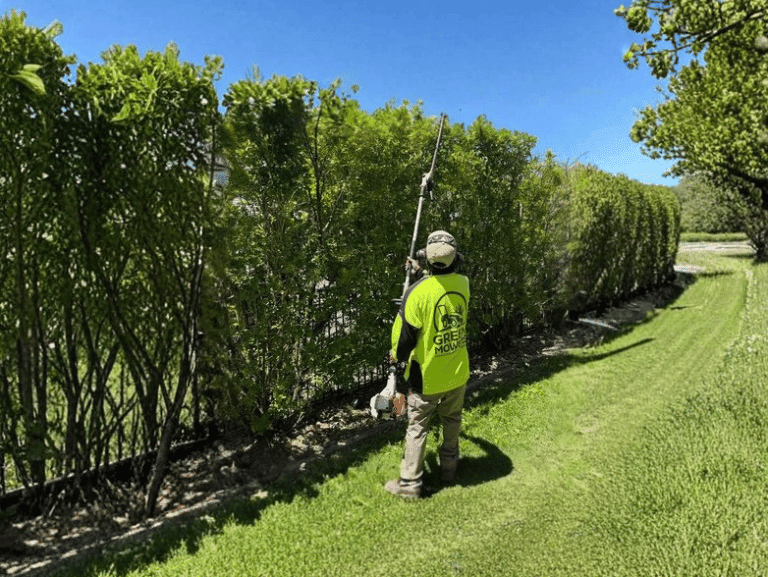 Green Mowers team member trimming a hedge